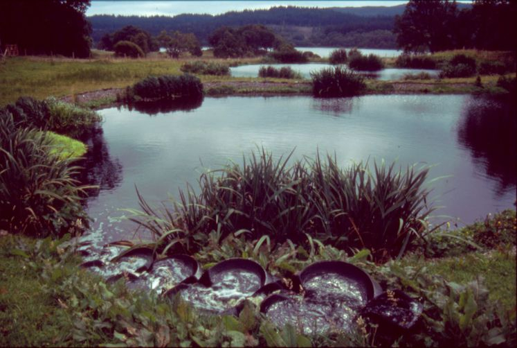 Flowforms als Kläranlagenablauf Flowforms als Kläranlagenablauf