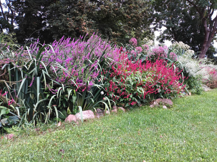 Kläranlage oder Gartengestaltung? Wir wollen Beides! Kläranlage oder Gartengestaltung? Wir wollen Beides!
