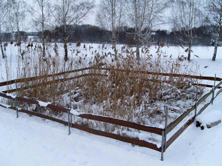 Pflanzenkläranlage im Winter Pflanzenkläranlage im Winter