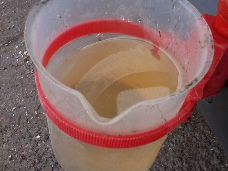 Pflanzenkläranlage: Ablauf bei der Wartung Ablauf