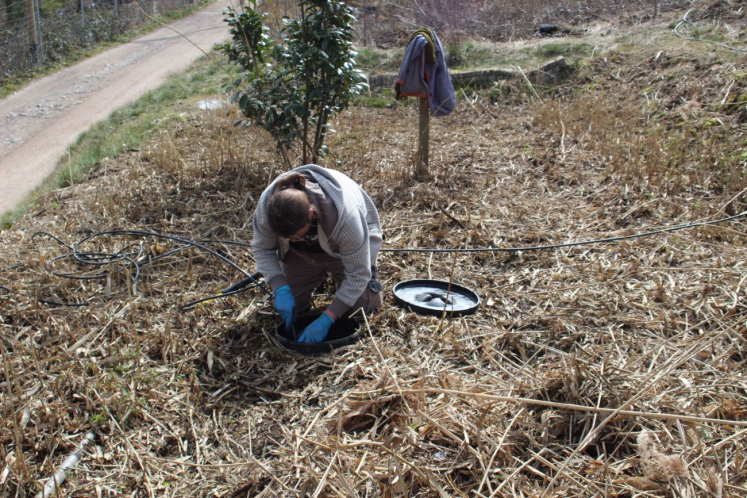 Drainage spülen Drainage spülen